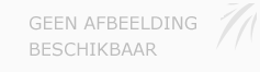 Afbeelding › Badkamerrenovatie Brié Dirk